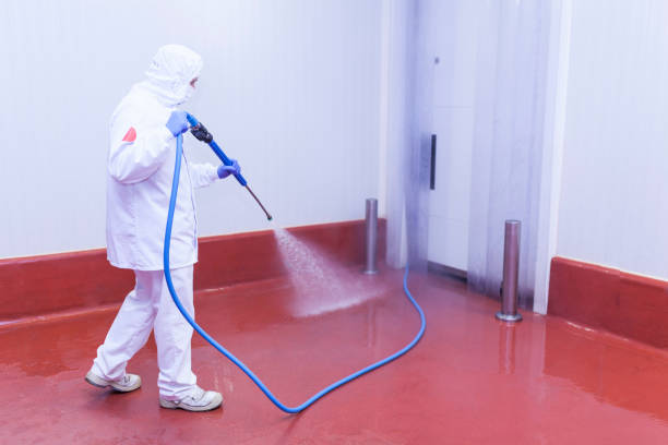 Best Building Exterior Washing  in Franklin Park, NJ
