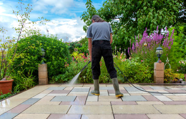 Best Animal Enclosure Cleaning  in Franklin Park, NJ